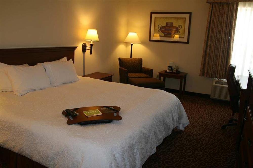 Hampton Inn Eagle Pass Værelse billede
