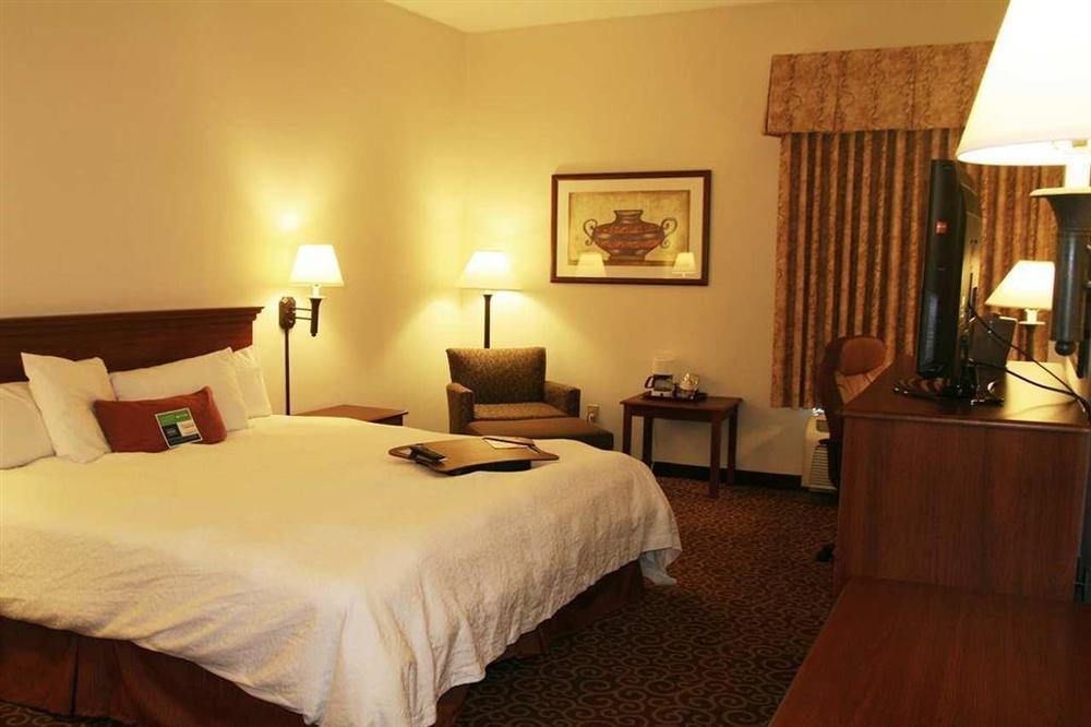 Hampton Inn Eagle Pass Værelse billede